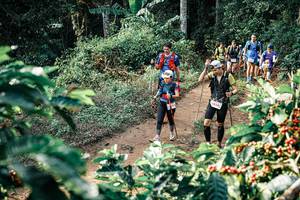 BIB: 
                            <button type="button" onclick="openModal(25851969)" class="btn btn-primary btn-sm float-right btn-popup" data-toggle="modal" data-target=".modal-high-quality">
                        <i class="fas fa-shopping-cart"></i> Add to Cart
                    </button>
                                            <button type="button" onclick="isThisMe(25851969, true)" class="btn btn-success btn-sm float-right btn-popup btn-isme hidden" data-toggle="tooltip" data-placement="bottom" title="นี่คือรูปของคุณใช่ไหม คลิกที่นี่เพื่อเอาเข้าอัลบั้ม">
                        <i class="fas fa-plus"></i> Add to album
                    </button>
                    <button type="button" onclick="isThisMe(25851969, false)" class="btn btn-warning btn-sm float-right btn-popup btn-isnotme hidden">
                        <i class="fas fa-ban"></i> Remove from album
                    </button>